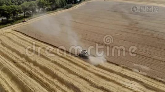 收割机的俯视图收集小麦。 食品工业概念。视频