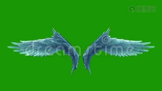 天使拍打翅膀循环绿屏3D渲染动画视频