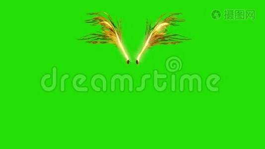 金色羽毛翼正面绿色屏幕三维渲染动画视频