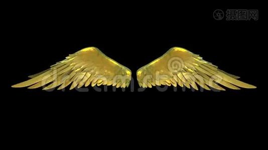 黄金翅膀阿尔法Matte三维动画渲染4K视频