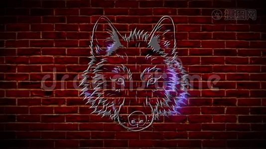 狼头霓虹灯标志。紫野狼亮徽。视频视频