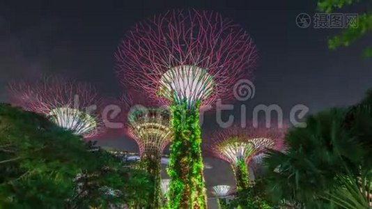未来派的观点，令人惊叹的照明花园在海湾夜间时间推移在新加坡。视频