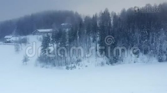 冬季松树森林的空中全景，亚北极景观，冰冻的，多雾的空气，低云，老高的松树上多雪，视频