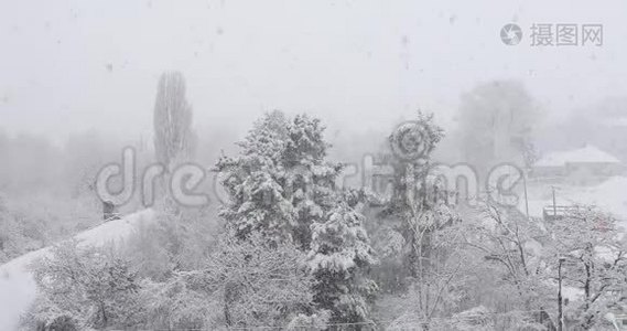 冬天下雪的天气。 登斯降雪视频