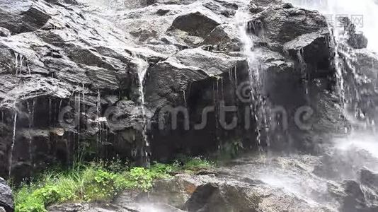 4K河流水落溪，夏雨天在林，木景视频