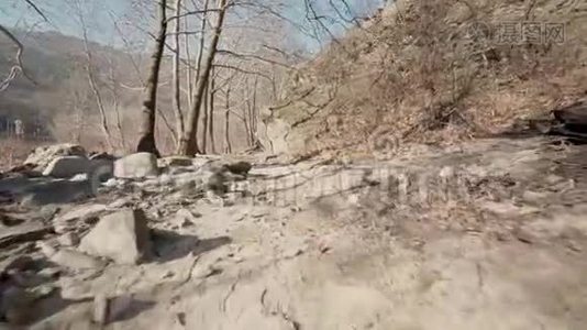 山林沙路飞照相机飞越高山落基山脉阳光明媚的冬日视频