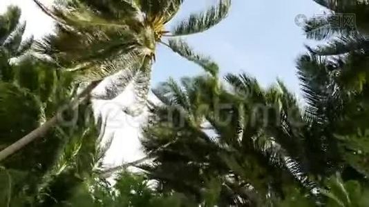 椰子棕榈树冠对蓝色阳光天空透视从地面。 热带旅游背景景观视频