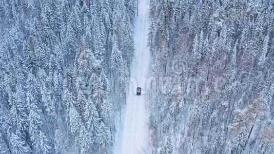 冬季森林道路上的孤独车辆视频