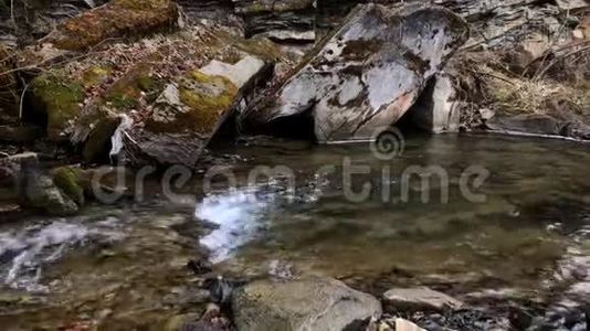 山河流淌在绿林附近.. 在乌克兰性质的喀尔巴阡山脉旅行。视频