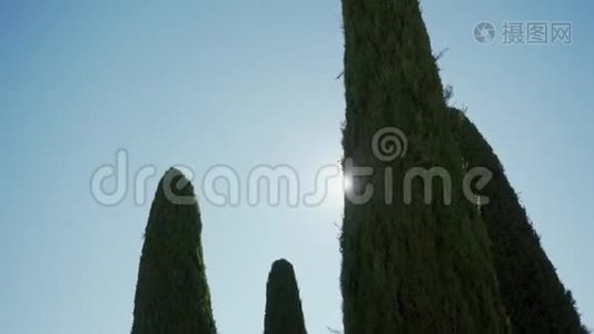意大利托斯卡纳风景区的柏树树冠，阳光灿烂视频