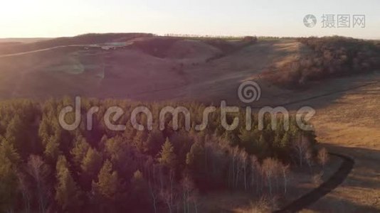 鸟瞰日落时美丽的秋林，绿松树.. 山峦叠嶂，山峦叠翠视频