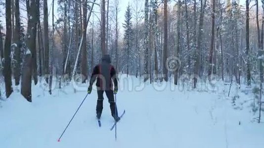 一个年轻人正在冬天的森林里滑雪。视频