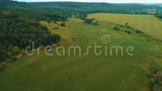 阳光明媚的夏日，空中无人驾驶飞机飞过森林覆盖的山坡。视频