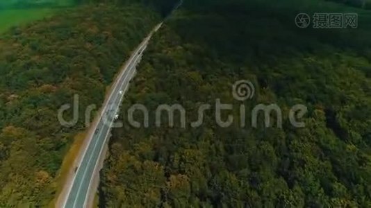 无人机在古老的森林道路上飞行，汽车在移动，茂密的树林的绿树在两边生长。视频