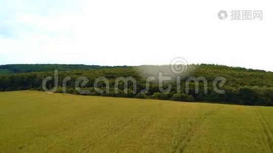 阳光明媚的夏日，空中无人驾驶飞机飞过森林覆盖的山坡。视频