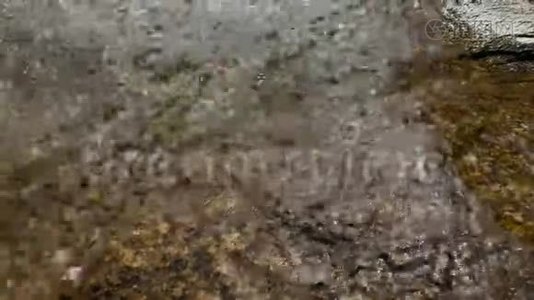 一条山溪流过大石头，从水流中流出泡沫视频