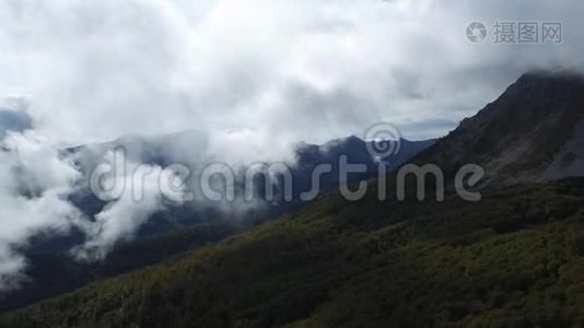 空中飞行在高山上的森林上空，穿过云层视频