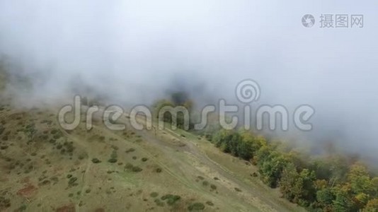 空中飞行在高山上的森林上空，穿过云层视频