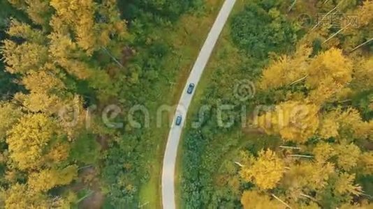 空中跟随视频汽车沿着蜿蜒的道路行驶，穿过秋天的森林，有绿色和黄色的树梢。视频