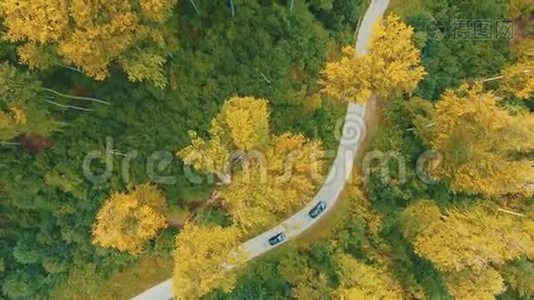 空中跟随视频汽车沿着蜿蜒的道路行驶，穿过秋天的森林，有绿色和黄色的树梢。视频
