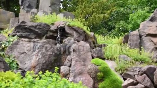 德累斯顿植物园禅岩花园视频