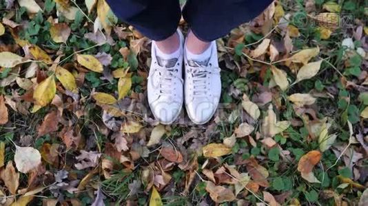 女人`脚穿白色时尚运动鞋在美丽的落叶上，从上面看。 秋天，树叶覆盖视频