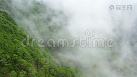 多雨的云层覆盖着绿林山的山顶.. 热带气候下的雨云。视频