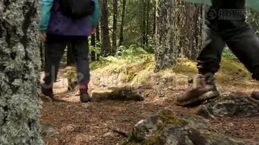 徒步旅行者在森林小径，侧视。 库存录像。 接近男性穿着徒步旅行的鞋子行走的背景视频