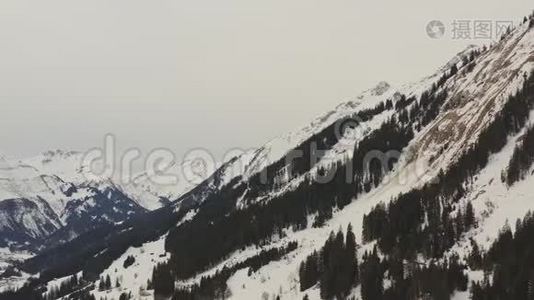 鸟瞰和飞行围绕着一个有树木的角落。 奥地利阿尔卑斯山山区阴天拍摄。视频