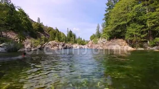 绿油油的水池，绿油油的水，碧空下清澈的泻湖，周围是松树视频