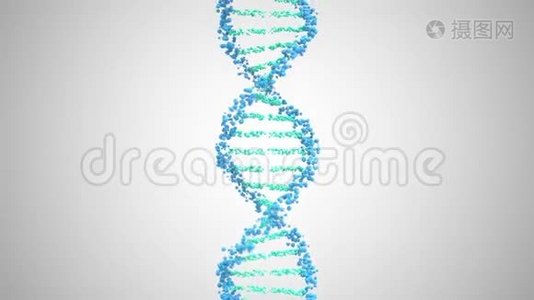 DNA分子螺旋，循环三维动画视频