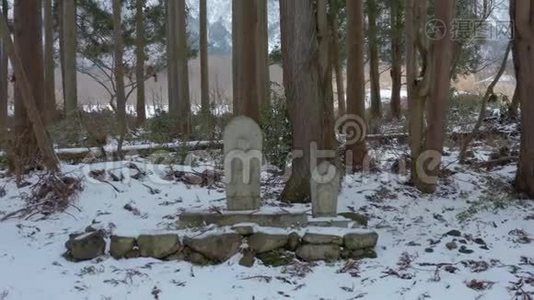 日本森林中的雪和小吉佐卫队的小神社视频