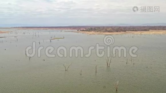 非洲津巴布韦的卡里巴湖。 空中的风景，水中的树木，鳄鱼，鸟类和河马视频