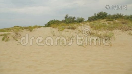 沙丘沙滩俯瞰蔚蓝的大海视频