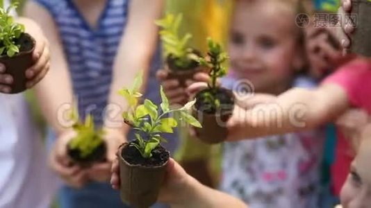 孩子们用植物抱着树苗的手视频