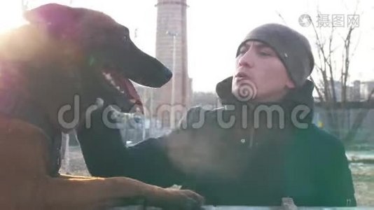 一个微笑的教练抚摸他可爱的德国牧羊犬视频