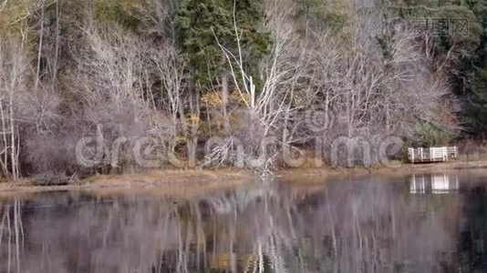 在一个小海湾里沿着普吉特湾的瀑布海岸线视频