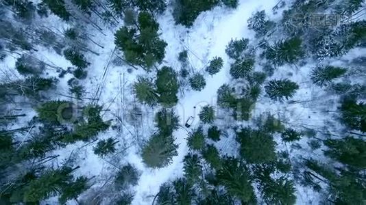 空中观景无人驾驶飞机升起在冬天的雪林之上。视频