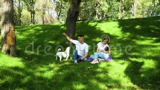 年轻的父母在绿色的草坪上陪着小狗视频
