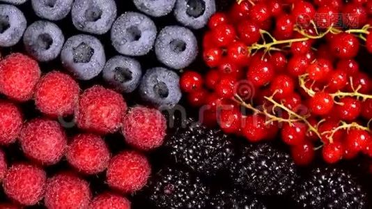 新鲜的覆盆子，黑莓，红醋栗和蓝莓视频