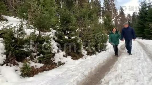 穿着夹克衫的中年妇女和男子在冬天穿过一片雪林，手牵手，争吵不休视频