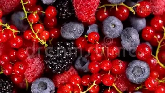 新鲜的覆盆子，黑莓，红醋栗和蓝莓视频
