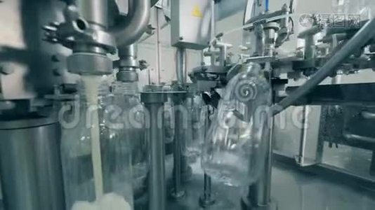 牛奶被运送者倒入空瓶中. 用牛奶灌装瓶子的自动化过程。视频