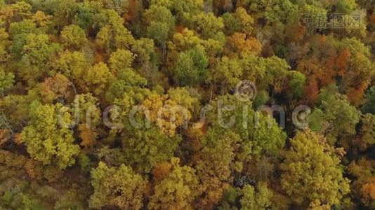 一架无人机飞过美丽的乡村秋景。 多彩林视频