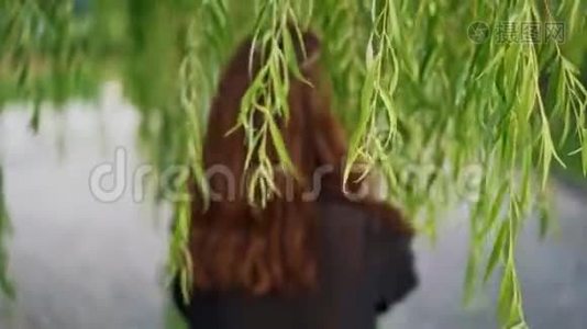 一位年轻女子穿过柳叶的实时照片视频