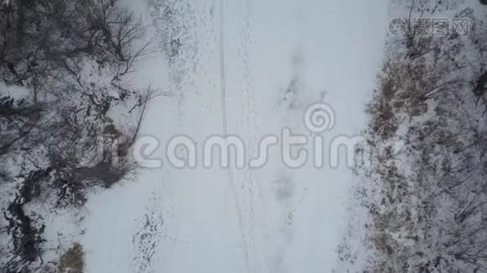 冬季的雪林，从无人驾驶飞机俯瞰视频