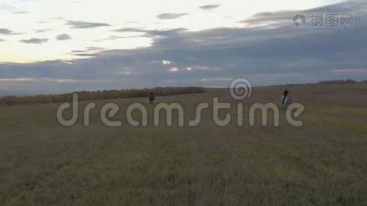 两个骑马的女人在田野上飞驰。视频