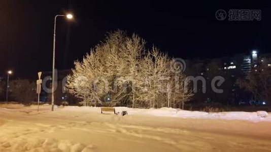 夜晚，冬天一棵孤独的树和一辆路过的车。视频