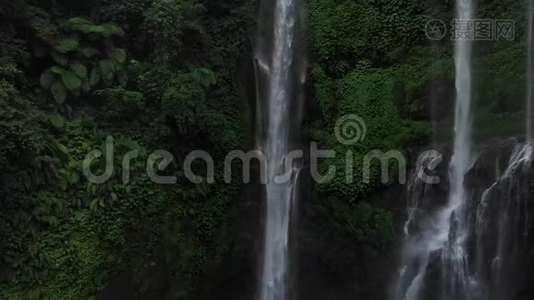 绿色雨林中的瀑布。 在山地丛林中鸟瞰瀑布塞库普尔。 印度尼西亚巴厘。 旅行概念视频