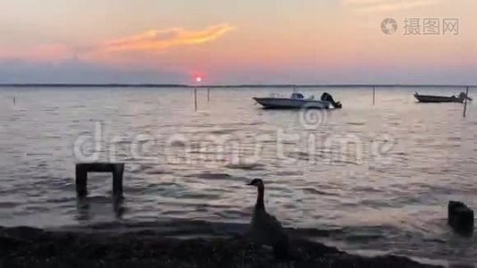 海岸附近美丽的日落时分视频视频
